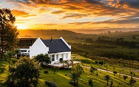 Plettenvale Wines