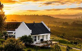 Plettenvale Wines